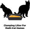 ARM & HAMMER Clump & Seal Odor Sealing Lightweight Multi-Cat Scented Clumping Cat Litter with 7 Days of Odor Control, 18 lbs. (Packing May Vary)