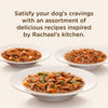 Rachael Ray Nutrish Premium Natural Wet Dog Food Variety Pack 8 Ounce | Pets Equips