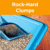 Best Clumping Cat Litter for Multiple Cats | Pets Equips