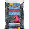 Pennington Select Black Oil Sunflower Seed Wild Bird Feed, 40 lbs