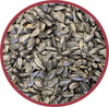 Pennington Select Black Oil Sunflower Seed Wild Bird Feed, 40 lbs