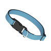 Vibrant Life Padded Dog Collar, Medium, Blue | Pets Equips