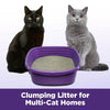 Arm & Hammer SLIDE Easy Clean-Up Multi-Cat Clumping Cat Litter | Pets Equips