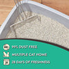 Special Kitty Odor Control Tight Clumping Cat Litter, Fresh Scent-20 lb | Pets Equips